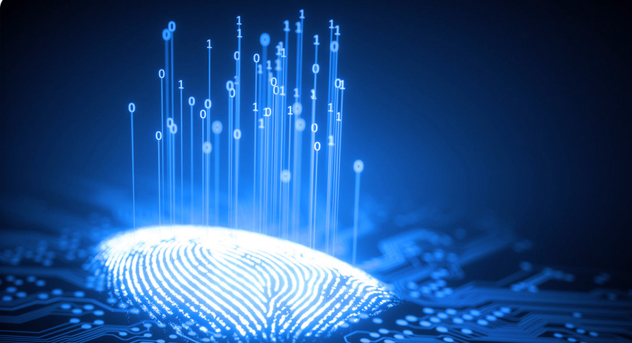 yp街机·电子游戏(中国)官方网站